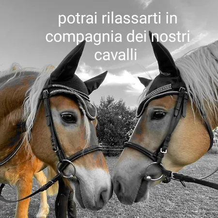 Residenze La Madonnina アパート